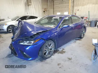 2019 Lexus ES 350 with VIN 58ABZ1B12KU002441, listed as a Copart auction lot 87595995 with Not provided miles and Salvage title. Bid and sale history available at DreamBid. Image 1.