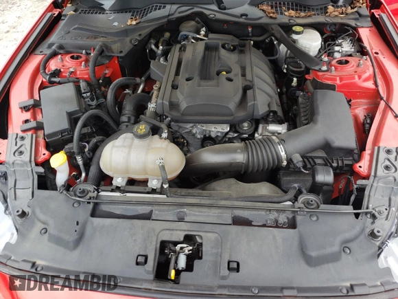 2019 Ford Mustang EcoBoost с VIN 1FATP8UH7K5170388, выставлен на аукционе Copart как лот 55011515 с пробегом 31 010 миль миль и Списание • Salvage title. История ставок и продаж доступна на DreamBid. Изображение 11.