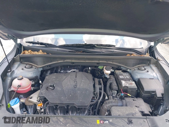 2024 Kia Sorento S with VIN 5XYRL4JC5RG266314, listed as a IAAI auction lot 42557490 with 17,720 mi miles and . Bid and sale history available at DreamBid. Image 10.