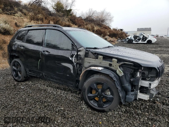2019 Jeep Cherokee Altitude with VIN 1C4PJMLN1KD345771, listed as a Copart auction lot 48953285 with 119,719 mi miles and Salvage Title. Bid and sale history available at carsss.com. Image 4.