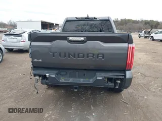 2024 Toyota Tundra 1794 Edition with VIN 5TFMA5DBXRX142402, listed as a IAAI auction lot 41253806 with 17,523 mi miles and . Bid and sale history available at DreamBid. Image 15.