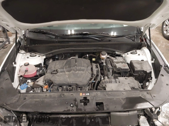2023 Hyundai Santa Fe SEL with VIN 5NMS2DAJ1PH519716, listed as a IAAI auction lot 41782332 with 48,057 mi miles and . Bid and sale history available at DreamBid. Image 10.