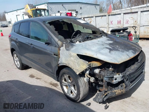 2014 Ford Escape SE with VIN 1FMCU0GX1EUB77611, listed as a IAAI auction lot 41781492 with Not Provided miles. Bid and sale history available at carsss.com. Image 1.