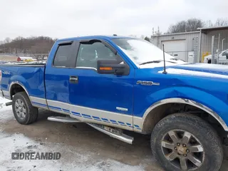 2013 Ford F-150 XL with VIN 1FTFX1ET9DFA00998, listed as a IAAI auction lot 41216058 with 168,995 mi miles and . Bid and sale history available at DreamBid. Image 6.