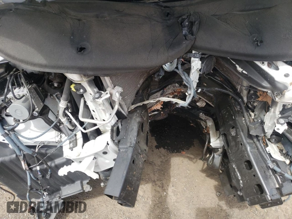 2020 Toyota Sienna XLE with VIN 5TDDZ3DCXLS251932, listed as a Copart auction lot 56340435 with Not provided miles and Salvage title. Bid and sale history available at DreamBid. Image 12.