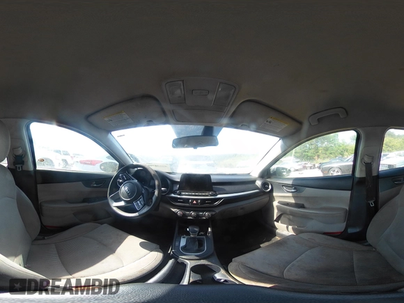 2020 Kia Forte LXS z VIN 3KPF24AD4LE171018, wystawiony jako IAAI lot #42130798 z przebiegiem 206 004 mil mil oraz . Historia ofert i sprzedaży dostępna na DreamBid. Obrazek 17.