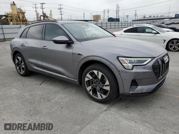 2022 Audi e-tron Premium with VIN WA1AABGE1NB022142, listed as a Copart auction lot 55533575 with 46,599 mi miles and Salvage Title. Bid and sale history available at DreamBid. Image 4.