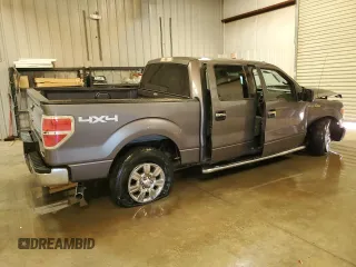 2011 Ford F-150 XL with VIN 1FTFW1EF7BKD10388, listed as a Copart auction lot 55263815 with 170,430 mi miles and Clean title. Bid and sale history available at DreamBid. Image 3.