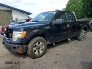 2013 Ford F-150 XL with VIN 1FTFX1EF1DFA51731, listed as a Copart auction lot 65019655 with 188,941 mi miles and Clean title. Bid and sale history available at DreamBid. Image 1.