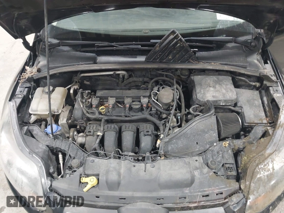 2014 Ford Focus SE with VIN 1FADP3F20EL114485, listed as a IAAI auction lot 41988373 with 119,963 mi miles. Bid and sale history available at carsss.com. Image 10.