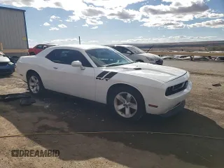 2013 Dodge Challenger R/T with VIN 2C3CDYBT3DH535790, listed as a Copart auction lot 48529355 with 250,497 mi miles and Salvage Title. Bid and sale history available at carsss.com. Image 13.