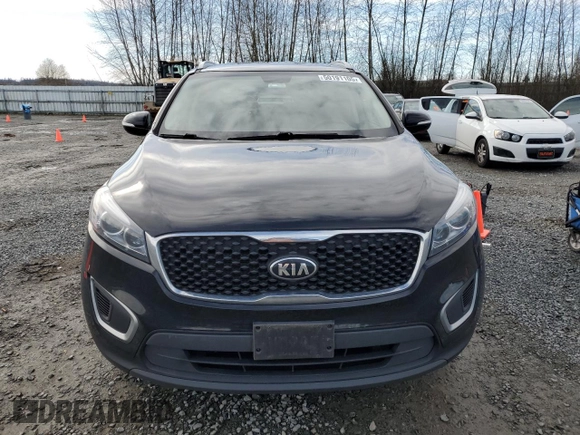 2016 Kia Sorento LX with VIN 5XYPGDA57GG001257, listed as a Copart auction lot 50191105 with 116,632 mi miles and Salvage Title. Bid and sale history available at DreamBid. Image 5.