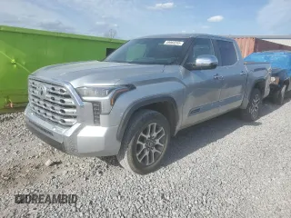 2024 Toyota Tundra 1794 Edition with VIN 5TFMA5DBXRX167302, listed as a Copart auction lot 49960245 with 13,158 mi miles and Salvage title. Bid and sale history available at DreamBid. Image 1.