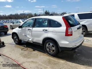 2010 Honda CR-V LX with VIN 5J6RE4H33AL097350, listed as a Copart auction lot 48903535 with 217,277 mi miles and Salvage Title. Bid and sale history available at carsss.com. Image 2.