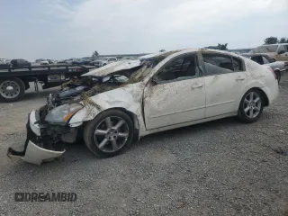2004 Nissan Maxima SE with VIN 1N4BA41E84C842263, listed as a Copart auction lot 60554455 with Not provided miles and Salvage title. Bid and sale history available at DreamBid. Image 1.