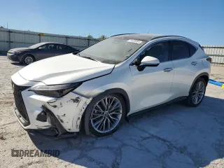2023 Lexus NX 350h Luxury with VIN JTJHKCEZ7P2013703, listed as a Copart auction lot 74935304 with 22,069 mi miles and Salvage Title. Bid and sale history available at DreamBid. Image 1.