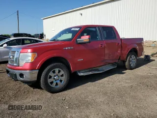 2012 Ford F-150 XL with VIN 1FTFW1ET1CFC71717, listed as a Copart auction lot 61805225 with 305,729 mi miles and Clean title. Bid and sale history available at DreamBid. Image 1.