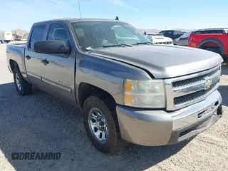 2009 Chevrolet Silverado 1500 LS with VIN 3GCEC13CX9G166432, listed as a IAAI auction lot 41450334 with 193,846 mi miles. Bid and sale history available at carsss.com. Image 1.
