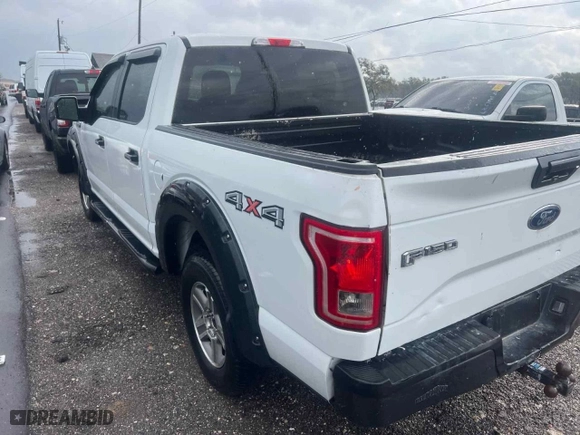 2016 Ford F-150 XLT with VIN 1FTEW1EFXGFB64810, listed as a Copart auction lot 51550765 with 252,241 mi miles and Clean Title. Bid and sale history available at carsss.com. Image 3.