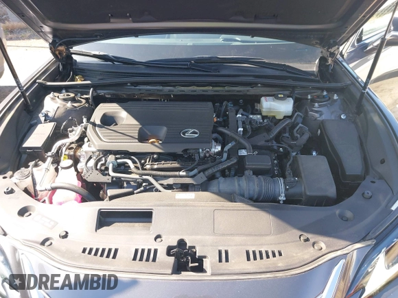 2022 Lexus ES 300h with VIN 58ADA1C15NU026266, listed as a IAAI auction lot 42121610 with 18,059 mi miles and . Bid and sale history available at DreamBid. Image 10.
