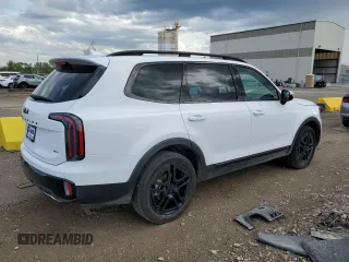2025 Kia Telluride SX X-Line с VIN 5XYP5DGC0SG615829, выставлен на аукционе Copart как лот 54059675 с пробегом 5 337 миль миль и Списание • Salvage title. История ставок и продаж доступна на DreamBid. Изображение 3.