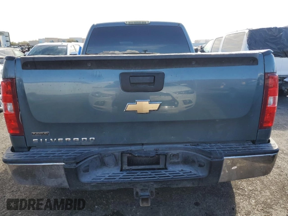 2010 Chevrolet Silverado 1500 LS with VIN 1GCSCREA0AZ176047, listed as a Copart auction lot 45425745 with 248,345 mi miles and Salvage Title. Bid and sale history available at carsss.com. Image 6.