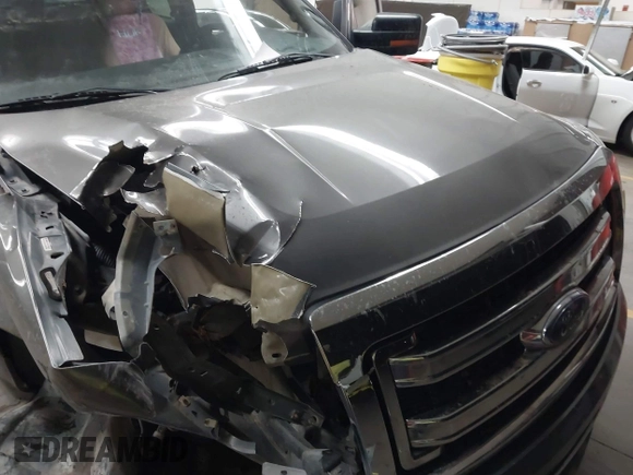 2014 Ford F-150 XL with VIN 1FTFX1EF6EFB64592, listed as a IAAI auction lot 41864196 with Not Provided miles and . Bid and sale history available at carsss.com. Image 10.