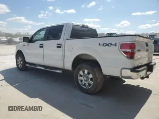 2010 Ford F-150 XL with VIN 1FTFW1EV9AFA76530, listed as a Copart auction lot 51303695 with 261,542 mi miles and Salvage Title. Bid and sale history available at DreamBid. Image 2.