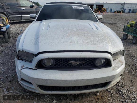 2014 Ford Mustang GT z VIN 1ZVBP8FF4E5225687, wystawiony jako Copart lot #60456165 z przebiegiem 203 180 mil mil oraz Czysty tytuł • Clean title. Historia ofert i sprzedaży dostępna na DreamBid. Obrazek 5.