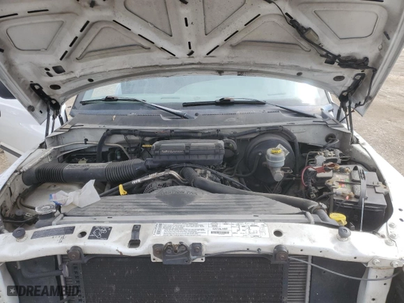 2000 Dodge Ram 1500 with VIN 1B7HC13Z0YJ166504, listed as a Copart auction lot 42934305 with 198,124 mi miles and Salvage Title. Bid and sale history available at carsss.com. Image 11.