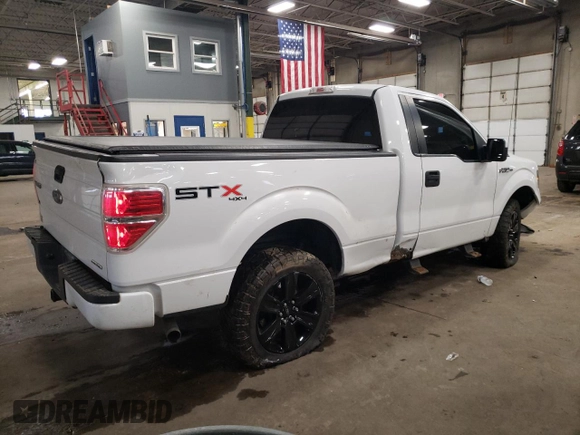 2013 Ford F-150 XL with VIN 1FTMF1EF6DFB52970, listed as a Copart auction lot 89300035 with 189,882 mi miles and Salvage Title. Bid and sale history available at DreamBid. Image 3.