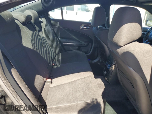 2013 Dodge Charger RT with VIN 2C3CDXDT5DH503513, listed as a Copart auction lot 60834634 with 169,841 mi miles and Salvage Title. Bid and sale history available at carsss.com. Image 10.