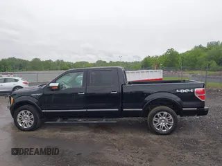 2009 Ford F-150 XL z VIN 1FTPW14V39FA99058, wystawiony jako IAAI lot #42300326 z przebiegiem 198 000 mil mil oraz . Historia ofert i sprzedaży dostępna na DreamBid. Obrazek 14.