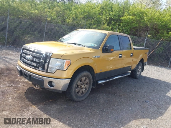 2009 Ford F-150 XL with VIN 1FTPW14V49KC41926, listed as a IAAI auction lot 42010884 with 132,529 mi miles. Bid and sale history available at carsss.com. Image 17.