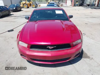 2011 Ford Mustang V6 with VIN 1ZVBP8EM6B5108804, listed as a IAAI auction lot 41966445 with 239,146 mi miles and . Bid and sale history available at DreamBid. Image 12.