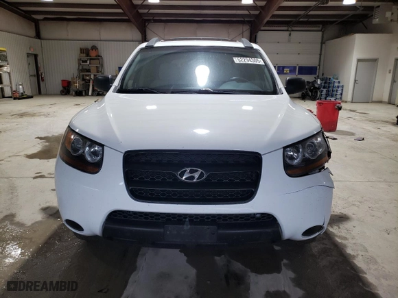 2009 Hyundai Santa Fe GLS with VIN 5NMSG13D09H279116, listed as a Copart auction lot 52294305 with 220,930 mi miles and Salvage Title. Bid and sale history available at carsss.com. Image 5.