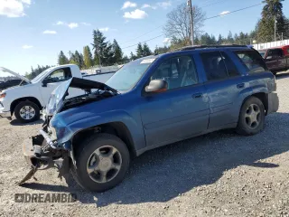 2005 Chevrolet TrailBlazer LT with VIN 1GNDT13S452373265, listed as a Copart auction lot 53399925 with Not Provided miles and Salvage Title. Bid and sale history available at DreamBid. Image 1.