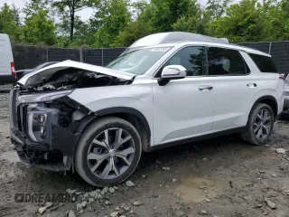 2022 Hyundai Palisade SEL с VIN KM8R4DHE9NU458246, выставлен на аукционе Copart как лот 58642465 с пробегом 75 817 миль миль и Списание • Salvage title. История ставок и продаж доступна на DreamBid. Изображение 1.