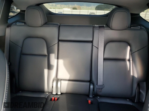 2024 Tesla Model Y Performance with VIN 7SAYGDEF2RF113873, listed as a Copart auction lot 46181915 with 19,625 mi miles and Salvage Title. Bid and sale history available at DreamBid. Image 10.
