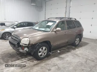 2005 Hyundai Santa Fe GLS with VIN KM8SC73E35U007942, listed as a IAAI auction lot 41201901 with 184,437 mi miles. Bid and sale history available at carsss.com. Image 17.