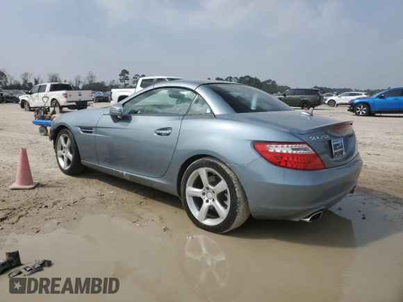 2013 Mercedes-Benz SLK 250 with VIN WDDPK4HA1DF057927, listed as a Copart auction lot 49314755 with 53,876 mi miles and Salvage title. Bid and sale history available at DreamBid. Image 2.