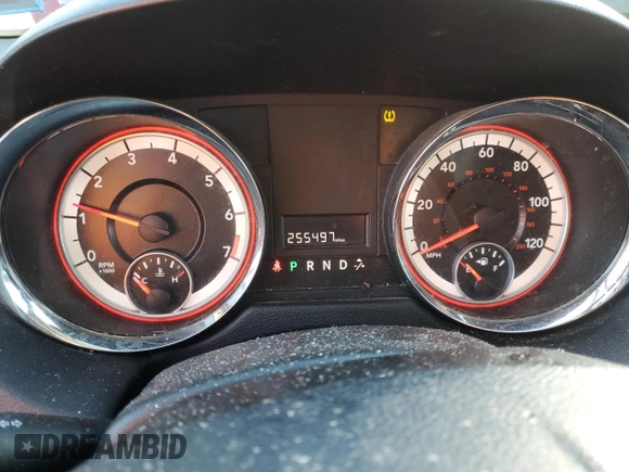 2013 Dodge Grand Caravan SE with VIN 2C4RDGBG9DR807434, listed as a Copart auction lot 42413335 with 255,497 mi miles and Salvage Title. Bid and sale history available at DreamBid. Image 9.