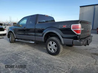 2009 Ford F-150 XL with VIN 1FTPX14V89KB47867, listed as a Copart auction lot 49842545 with 235,862 mi miles and Salvage Title. Bid and sale history available at carsss.com. Image 2.