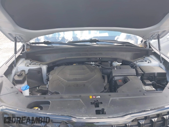 2024 Kia Telluride EX с VIN 5XYP3DGC0RG418854, выставлен на аукционе IAAI как лот 42196909 с пробегом 37 661 миль миль и . История ставок и продаж доступна на DreamBid. Изображение 10.