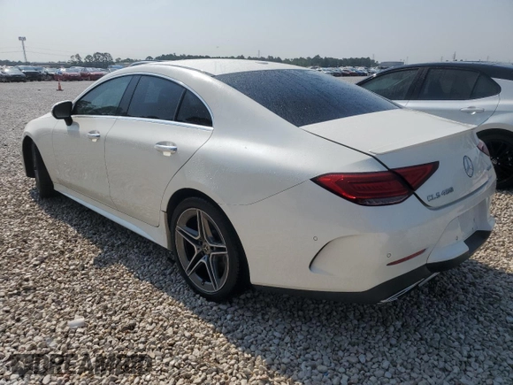 2019 Mercedes-Benz CLS with VIN WDD2J5KB7KA042539, listed as a Copart auction lot 66721134 with 0 mi miles and Non Repairable. Bid and sale history available at carsss.com. Image 2.