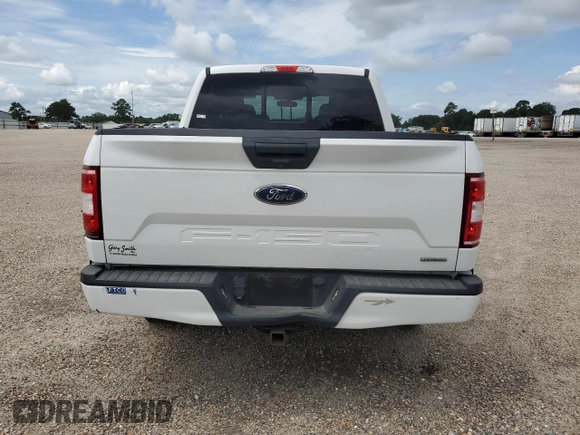 2019 Ford F-150 XL with VIN 1FTEW1CPXKFA75369, listed as a Copart auction lot 61735505 with 164,310 mi miles and Clean title. Bid and sale history available at DreamBid. Image 6.