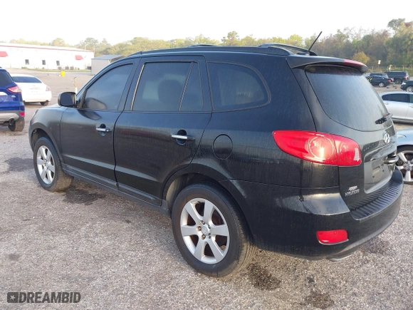 2009 Hyundai Santa Fe SE with VIN 5NMSH13E69H325943, listed as a IAAI auction lot 41813153 with 176,514 mi miles. Bid and sale history available at carsss.com. Image 3.