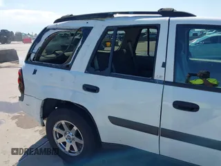 2004 Chevrolet TrailBlazer LT with VIN 1GNDS13S342361478, listed as a IAAI auction lot 42094261 with 298,130 mi miles and . Bid and sale history available at DreamBid. Image 6.