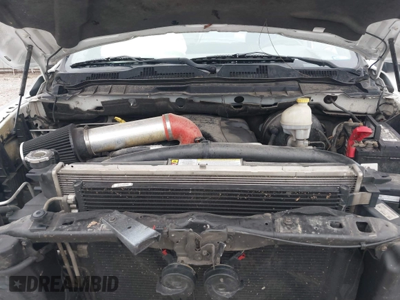 2010 Dodge 1500 SLT with VIN 1D7RV1GT7AS137785, listed as a IAAI auction lot 41519997 with 204,854 mi miles and . Bid and sale history available at DreamBid. Image 10.