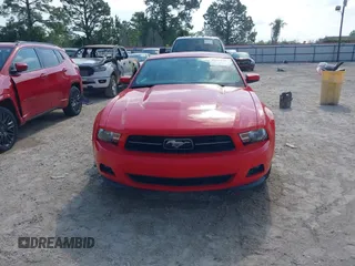 2011 Ford Mustang V6 with VIN 1ZVBP8AM8B5140806, listed as a IAAI auction lot 42039210 with 47,883 mi miles and . Bid and sale history available at DreamBid. Image 12.